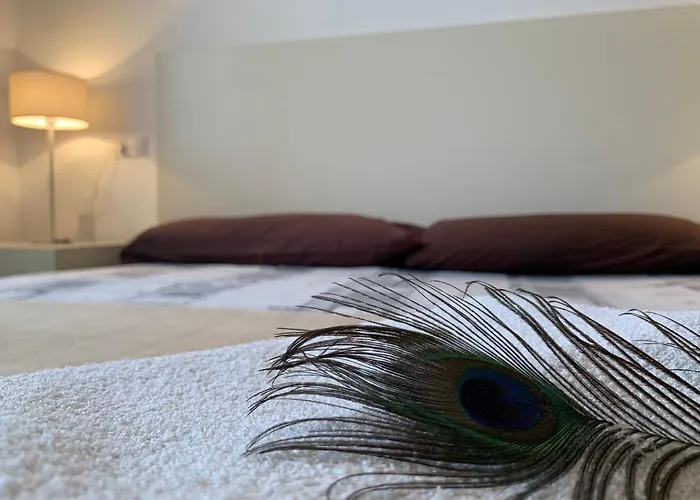 Magnifico A 500 M De La Playa * אליקאנטה